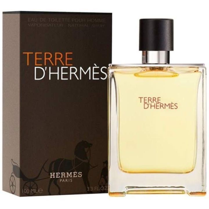 TERRE%20D%20HERMES%20EDT%20100ML%20HERMES%20-%20Image%202
