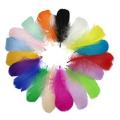 Pack of 12 Colorful Feathers for DIY Craft Wedding Home Party Decorations. 