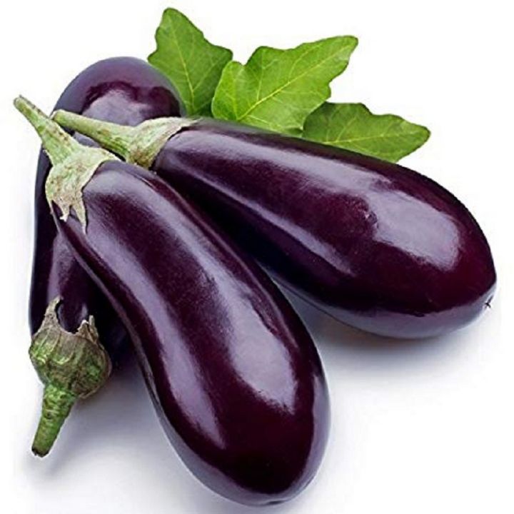 F-1%20Hybrid%20Brinjal%20long%20begun%20vegetable%20seed%20kitchen%20gardening%20-%20Image%202