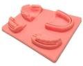 Dental Suture Training Tool Kit/Oral Suture Practice Set  for Dental Students Teaching Studying Demonstrations Tools. 