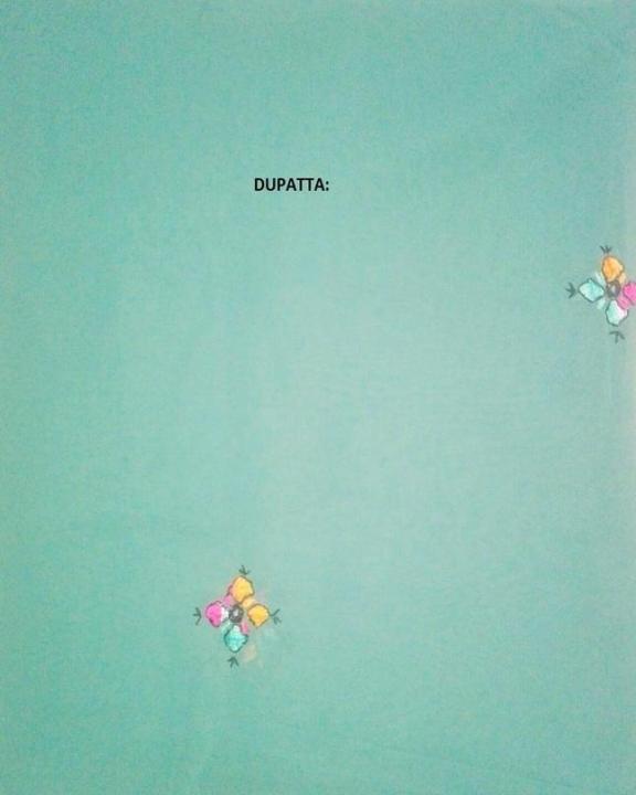 See%20Green%20Colour%20Chiffon%202%20Piece%20-%20Image%204