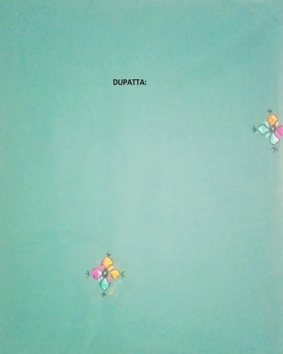 See%20Green%20Colour%20Chiffon%202%20Piece%20-%20Image%204