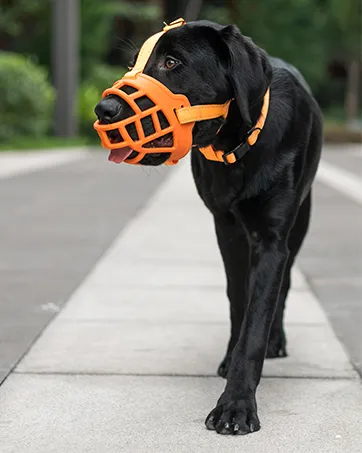 Silicone%20Basket%20Dog%20Muzzle%20Adjustable%20&%20Comfortable%20Secure%20Fit%20Durable%20Lightweight%20Rubber%20Dog%20Muzzle%20Stop%20Biting%20Safe%20Training%20-%20Image%202