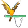 UK Bird Toys Parrot Leashes Foot Chain, Stainless Steel chain Anti-bite Flying Training Solid Brass U Lock Clasp--Brass Shackle Bird Harness for Parrots Macaw African Greys Parakeet Cockatoo Ring neck electus medium and large Anti-Off Fly Birds Flight. 