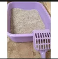 Cat litter tray with Scoop Large size. 
