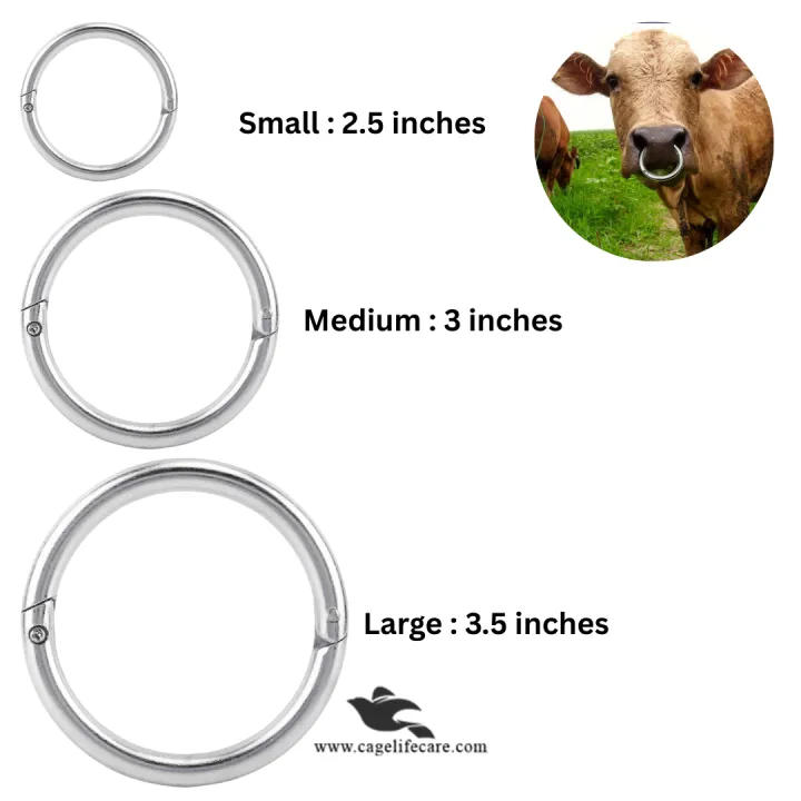 Stainless%20Steel%203.5%20inches%20Bull%20Nose%20Ring%20for%20Cattle%20%E2%80%93%20Livestock%20Control%20Tool%20-%20Image%206