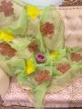 New Arrivals 2k24  Fancy Dupatta Collection Pure Organza Fabric Dupatta ⁠With Neat & Beautiful Handmade Floral Brush Paint Work. 