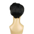 Synthetic Hair Wigs Short Black Cute Boy Cosplay Wig Natural Faux Hair Fiber. 