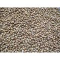 Natural Whole Moth Beans 1000gm. 