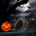 Halloween Black Crow Props Realistic Raven Spooky Feathered Crows House Decor Sunlight Super Store. 
