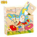 Insects - Wooden cubical puzzle - 6 sided. 