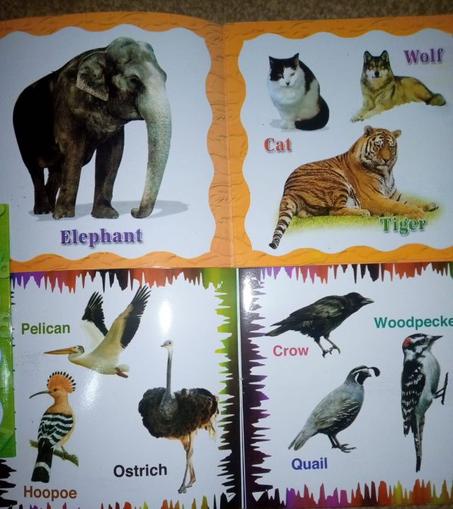 kids%20first%20learning%20book%20%7C%20Preschool%20%7C%20Homeschooling%20%7C%20Self%20learning%20%7CBest%20gift%20%7C%20Pack%20of%2010%20-%20Image%206