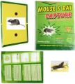 Pack of 4 Reusable Expert Catch Mouse & Rat Glue Trap چوہوں کیلۓ. 