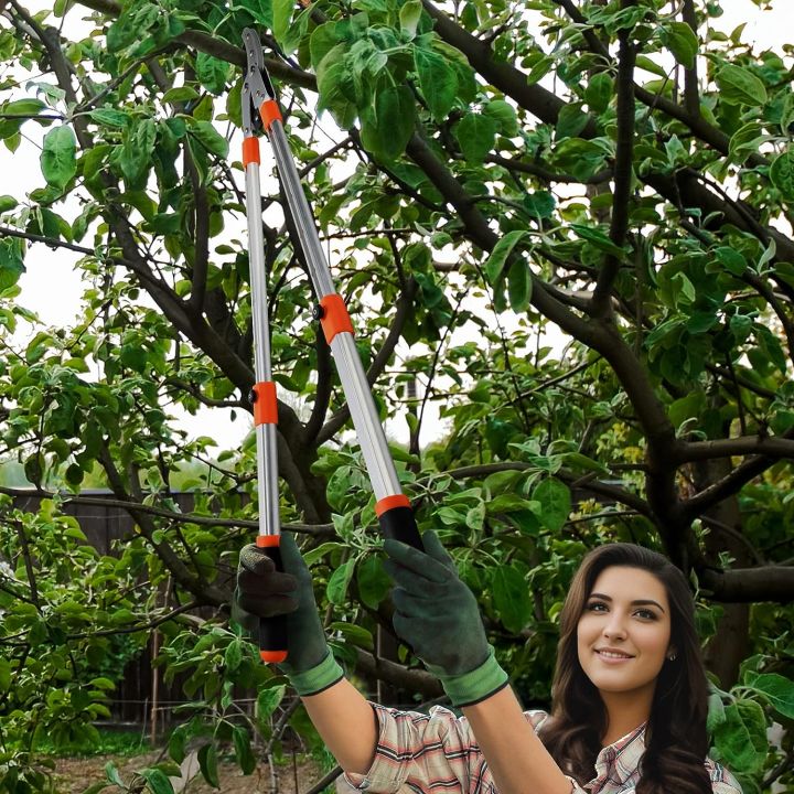 Extendable%20Anvil%20Loppers%20Tree%20Trimmer%20with%20Compound%20Action,Chops%20Thick%20Branch%20Ease,27-41''Telescopic%20Heavy%20Duty%20Branch%20Cutter,2%20inch%20Clean%20Cut%20Capacity%20-%20Image%203