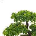 Artificial Bonsai Tree Potted Japanese Tree for Shelf Office Bathroom. 
