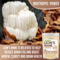 XPRS Nutra Organic Lion's Mane Powder - Premium Lions Mane Powder for Mental Clarity, Cognition and Immunity - Vegan Friendly Lions Mane Mushroom (8 oz). 