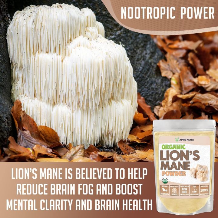 XPRS%20Nutra%20Organic%20Lion's%20Mane%20Powder%20-%20Premium%20Lions%20Mane%20Powder%20for%20Mental%20Clarity,%20Cognition%20and%20Immunity%20-%20Vegan%20Friendly%20Lions%20Mane%20Mushroom%20(8%20oz)%20-%20Image%204