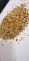 Francolin Mixed Feed (Teetar Feed) (1 KG). 