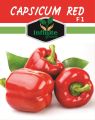 F1 Hybrid Capsicum mix , Sweet Pepper ,  Bell Pepper 18 seeds in one Pack Red , Yellow , Green , Purple , Orange , Cream, Colors Shimla Mirch 18 Seeds. 