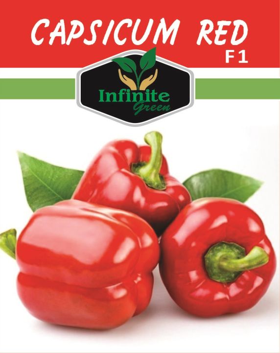 F1%20Hybrid%20Capsicum%20mix%20,%20Sweet%20Pepper%20,%20%20Bell%20Pepper%2018%20seeds%20in%20one%20Pack%20Red%20,%20Yellow%20,%20Green%20,%20Purple%20,%20Orange%20,%20Cream,%20Colors%20Shimla%20Mirch%2018%20Seeds%20-%20Image%205