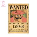 Anime Poster Clear Printing Dorm One Piece Wanted Luffy Wall Art Poster. 