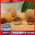 [Bulk dried longan] Fujian longan dried meat thick core small dried longan dry snacks Longyan dried meat. 