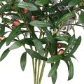 Kitchen Decoration Olive Fruit Branch Artificial Olive Branch Olive Branch Table Centerpiece Faux Olive Branch Arrangements. 