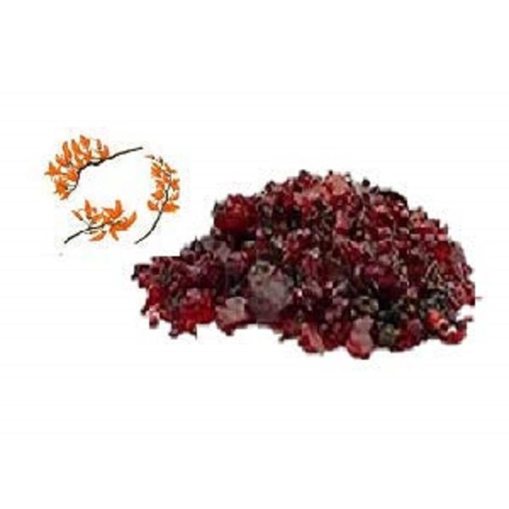 Organicgreen Herb Kamarkas gond | Palash Gond | kamarkas gond -50GMS