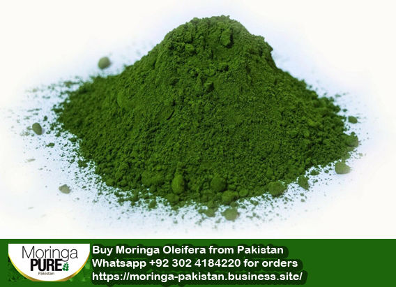 Moringa%20Pakistan%20Moringa%20Oleifera%20Powder%20Buy%20100%25%20Pure%20500g%20-%20Image%207