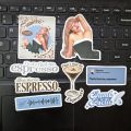 SABRINA CARPENTER Premium Glossy Stickers 25pcs Pack ideal for journaling skateboard notebook mobile case. 