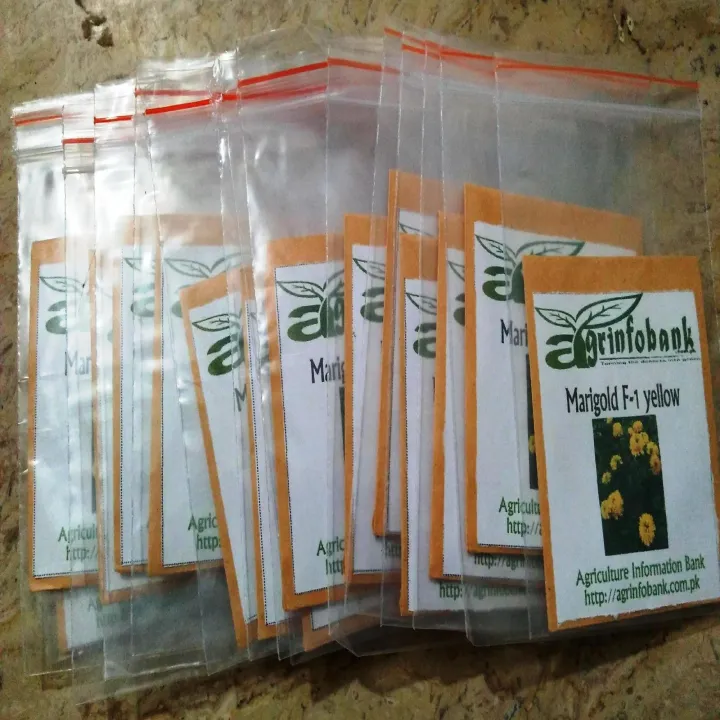 Marigold%20F-1%20Yellow%20-%20Image%203