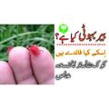 Behar boti oil 30 grams. 