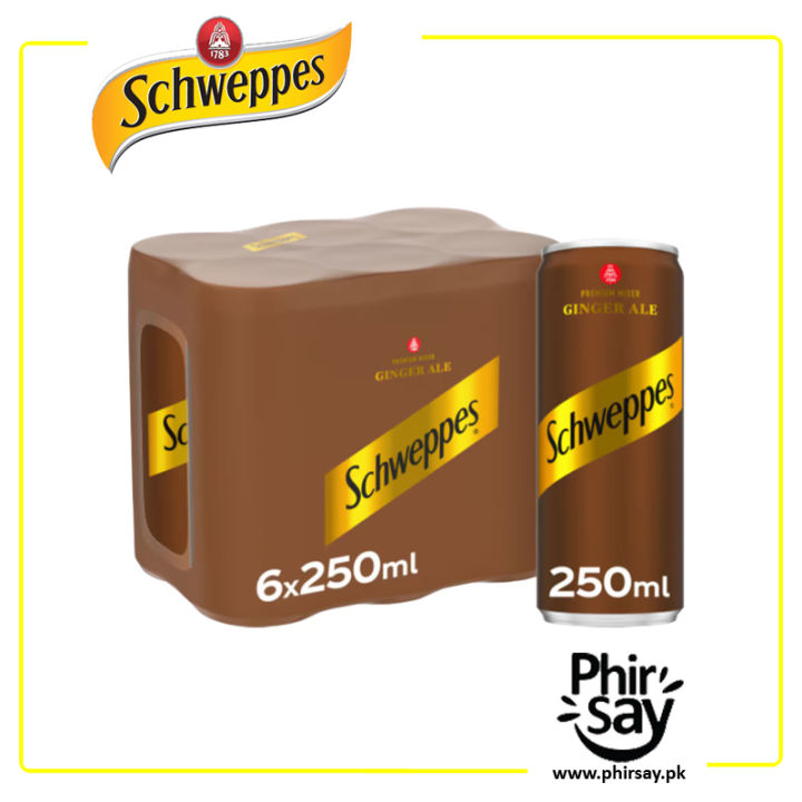Schweppes Ginger Ale Can 250ml | Pack of 6 | Imported