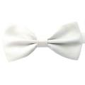 Imported bow tie for boys and kids. 