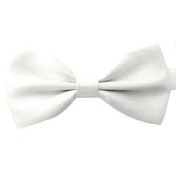 Imported%20bow%20tie%20for%20boys%20and%20kids%20-%20Image%202