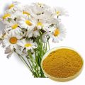 Chamomile Flowers Powder گل بابونہ پاوڈر Babanphul - zipper packing (100-g powder). 