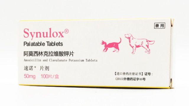 【Aesth Diary Store】Synulox Tablets Dog & Cat