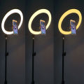 26cm Ring Light with Mobile Holder, Stand Holder and 7ft Stand, RingLight with 7 Feet Stand, Three Colours Makeup LED RingLight with Tripod Stand, Dimmable Selfie Ring Light with USB for Videography and Photography. 