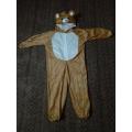 Kids Bear Costume. 