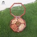 RH Crafts & Home | BIG SIZE SPICE BOX MASALA RACK CONTAINER TEA BAG HOLDER UTILITY BOX.... 