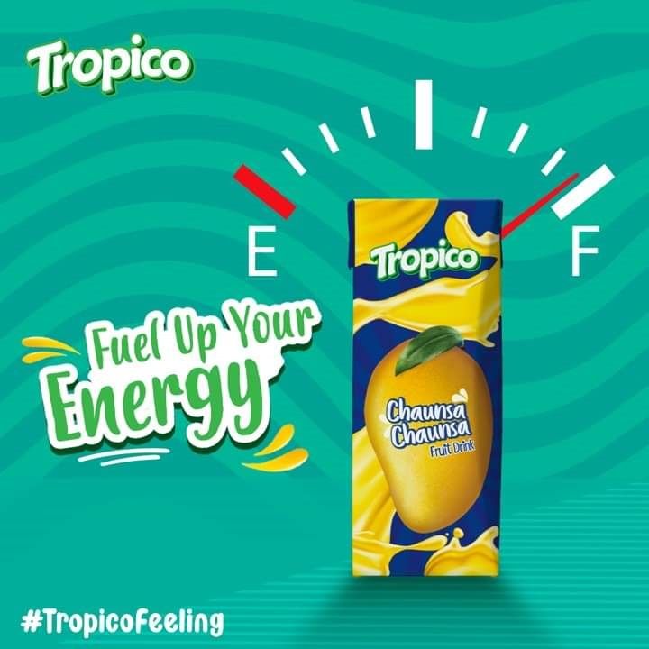 Tropico%20Chaunsa%20Mango%20Fruit%20Drink%20Pack%20of%2024%20-%20Image%206