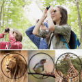 Bushnell 8x21 Binocular telescope. 