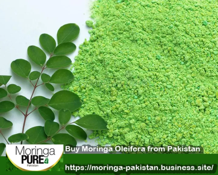 Moringa%20Pakistan:%20Moringa%20Oleifera%20Powder%20Buy%20100%25%20Pure%20500g%20-%20Image%207