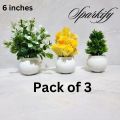 Pack of 3, 5 Artificial Small Plants - 6 Inches High Quality Table Top Decor in White Pots. 
