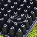 Wishly Plastic Hydroponic seedling tray 32 Holes/Cells for Seeds germination.. 