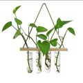 Glass Hanging Planter Terrarium – Hydroponic Test Tube Vase with Wooden Hanger & Rope for Green Plants, Flowers, Home & Office Décor By Padini Collection. 
