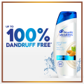 Head & Shoulders Dry Scalp Care Shampoo 650ml. 