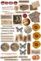Brown theme journaling stickers, scrapbooking, vintage stickers, mobile stickers. 