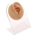 1 Pc Silicone Ear Model Reused Ear Displays Mould Professional Piercings Practice Tools for Earrings Ear Studs Display. 