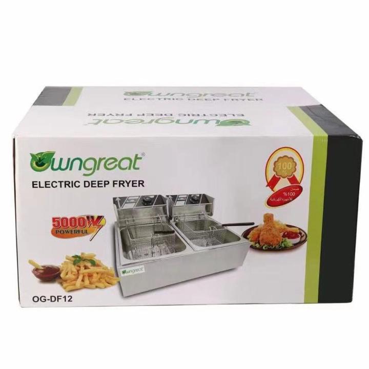Imported Double Electric 12L Deep Fryer Stainless Steel French Fries Electric Frying Machine